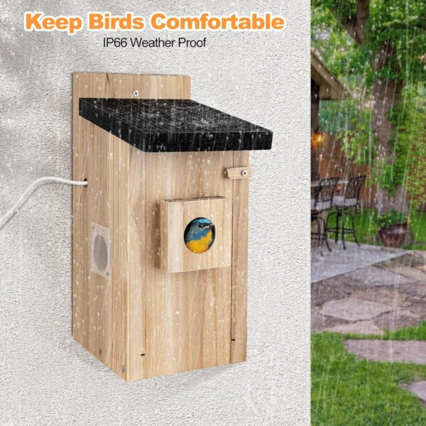 Smart 3MP Outdoor Birdhouse Camera with Motion Detection - Image 2